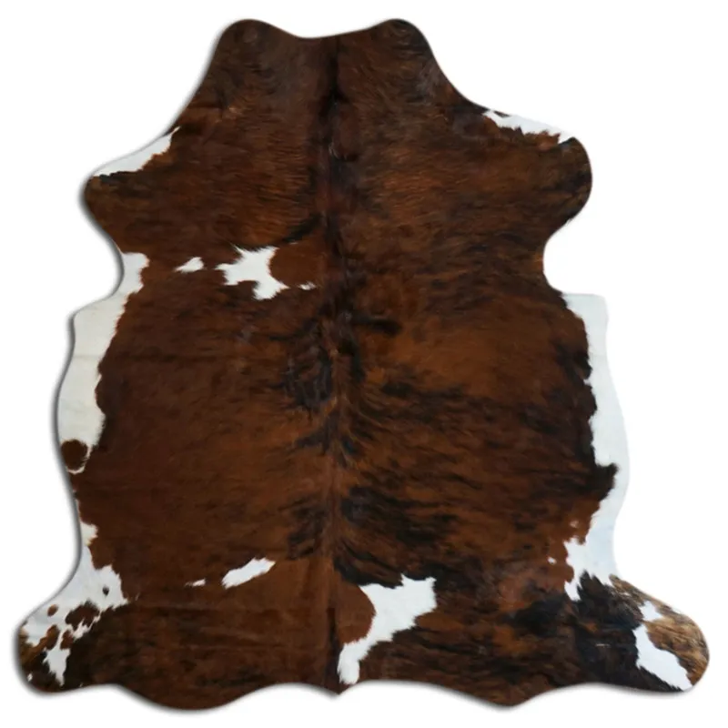 Koskind - Tricolor Exotic N161