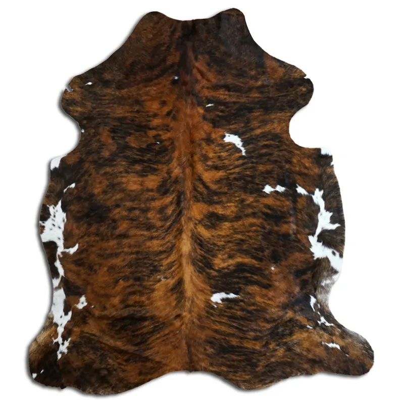 Koskind - Tricolor Exotic N025