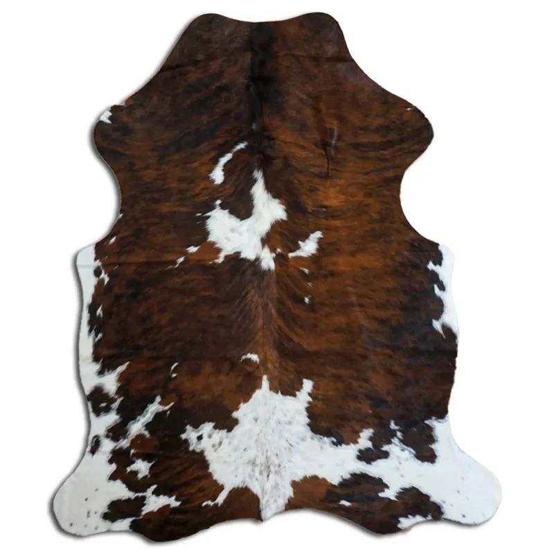 Koskind - Tricolor Exotic N084