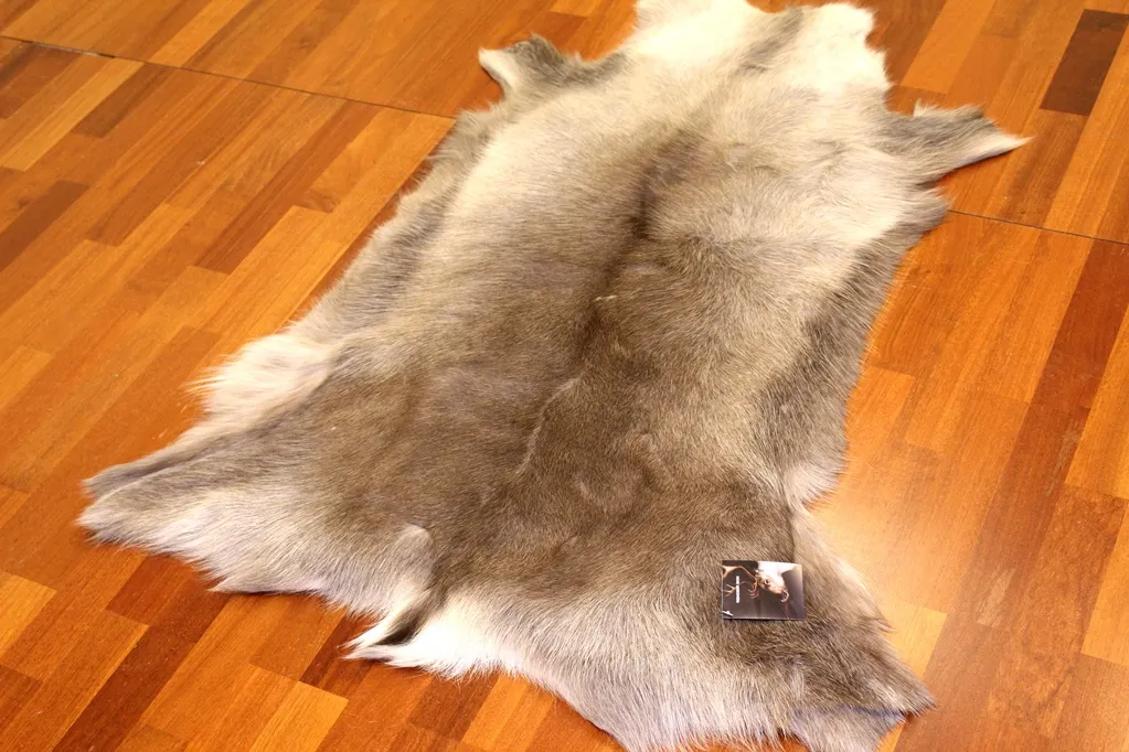 Rensdyrskind - XXL # 12