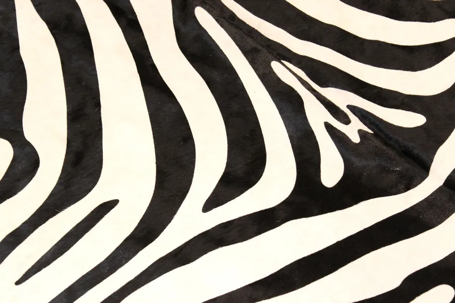 Zebraskind 11