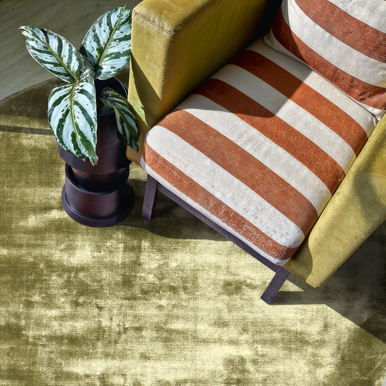 Rundt tæppe - Jodhpur Special Luxury Edition (olivengrøn)