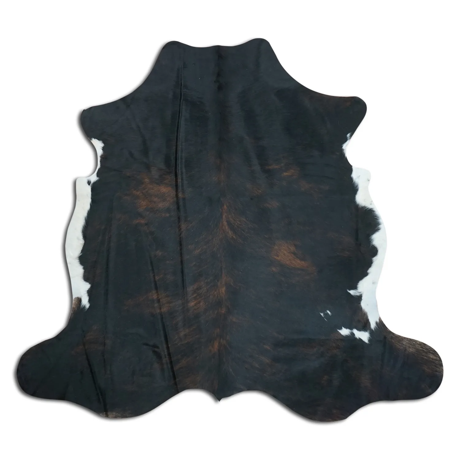 Koskind - Tricolor Exotic 277