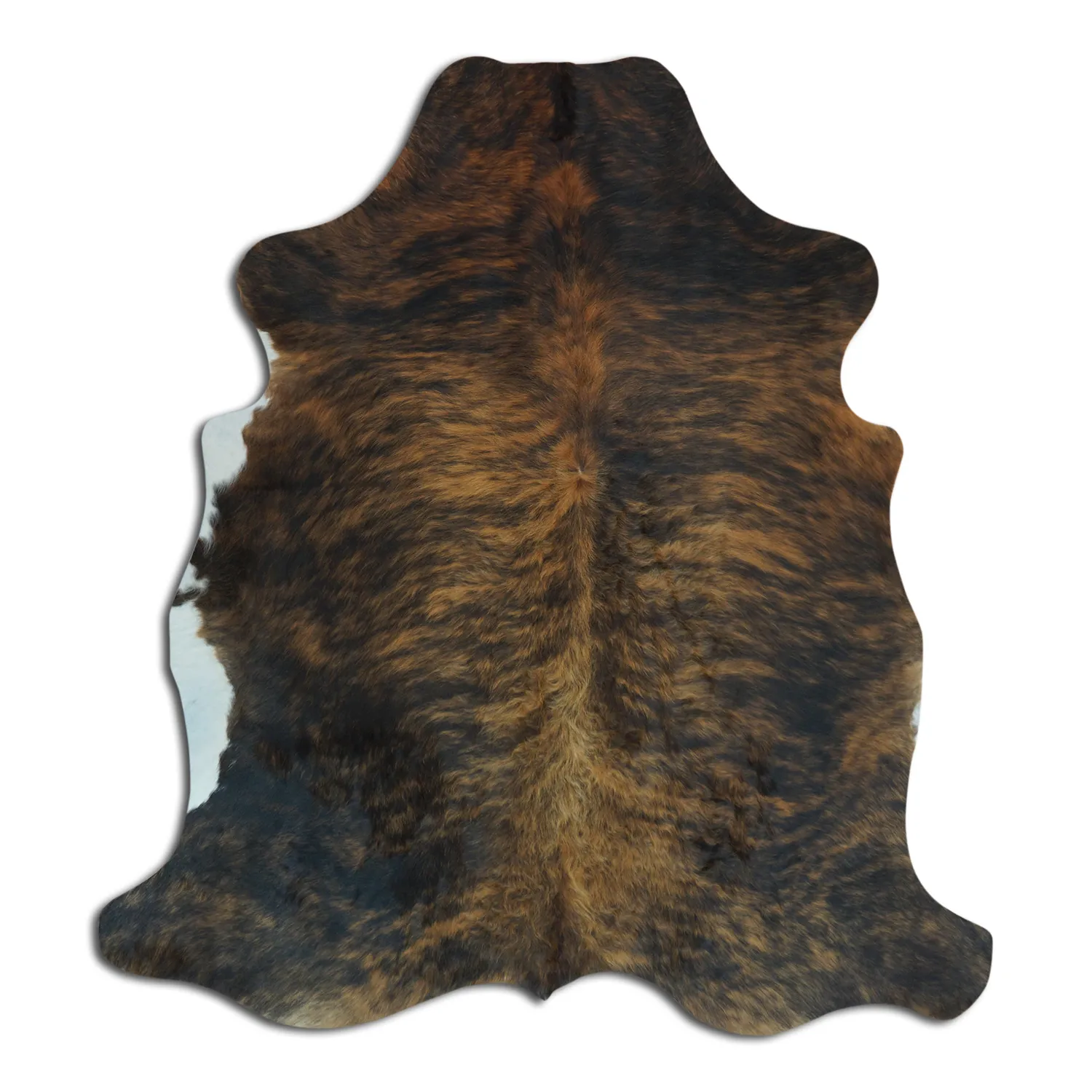 Koskind - Tricolor Exotic 128