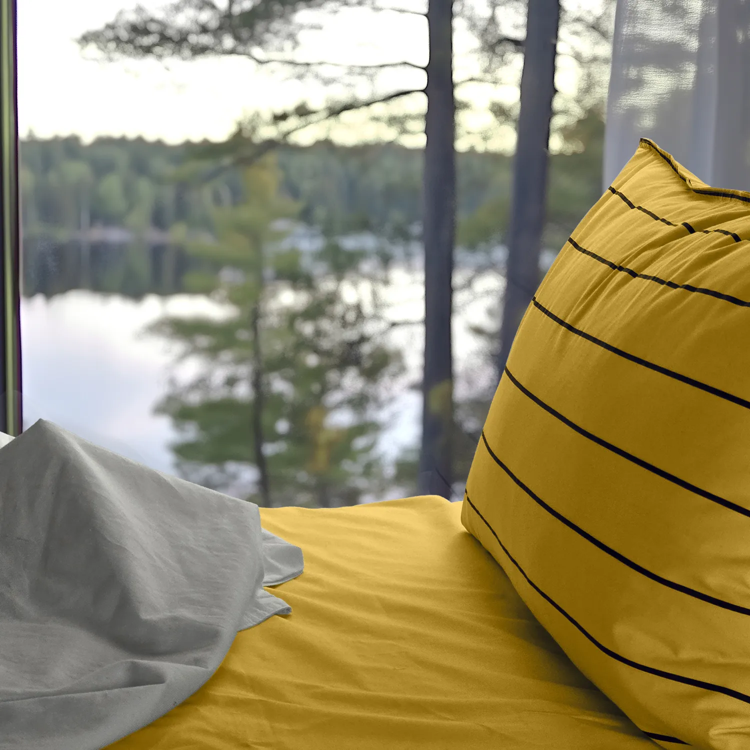 Lagen - Asteria (sennep)