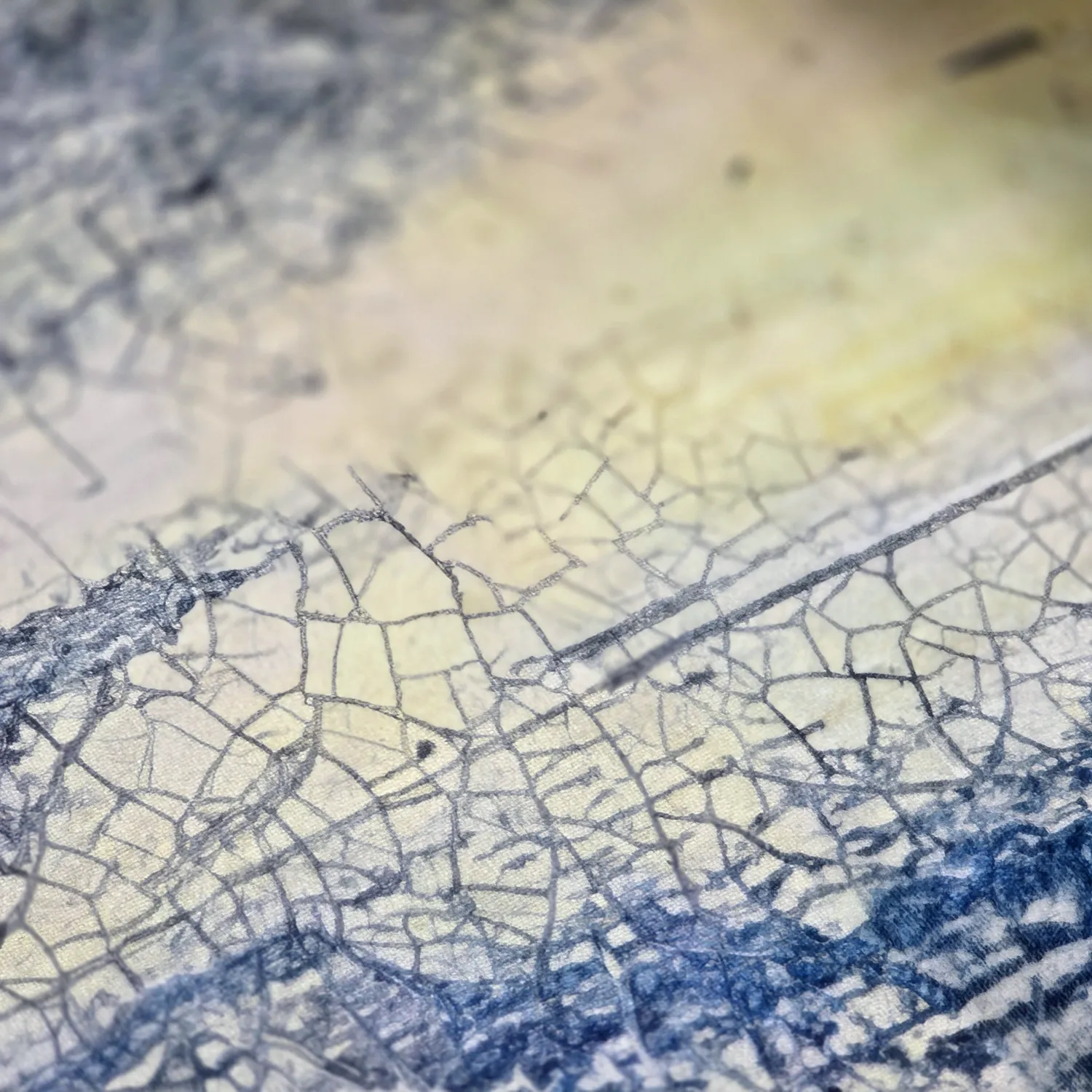 Wilton-tæppe - Dolmio (blå/multi)