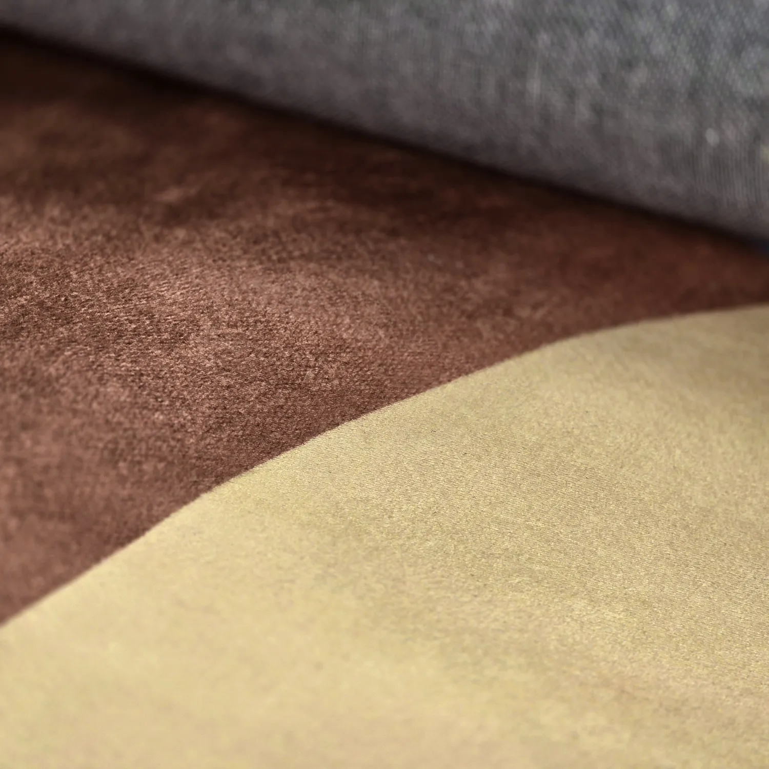 Wilton-tæppe - Lazio (champagne)