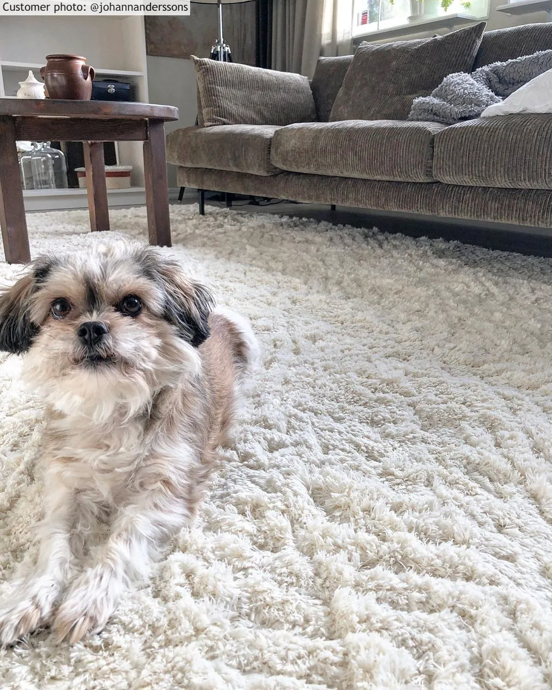 Ryatæpper - Stettin (offwhite)